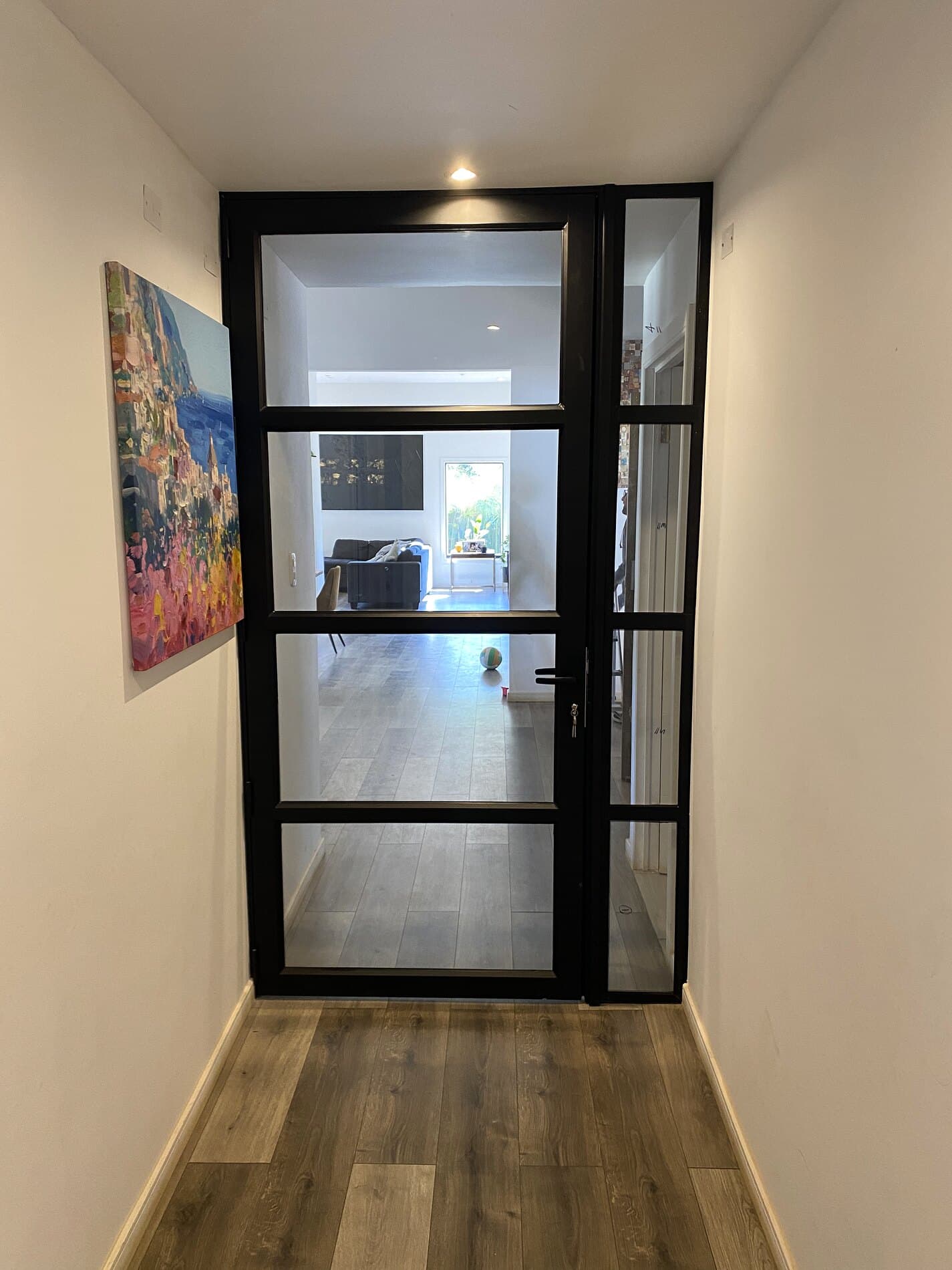 Puerta y mampara de acero con cristal