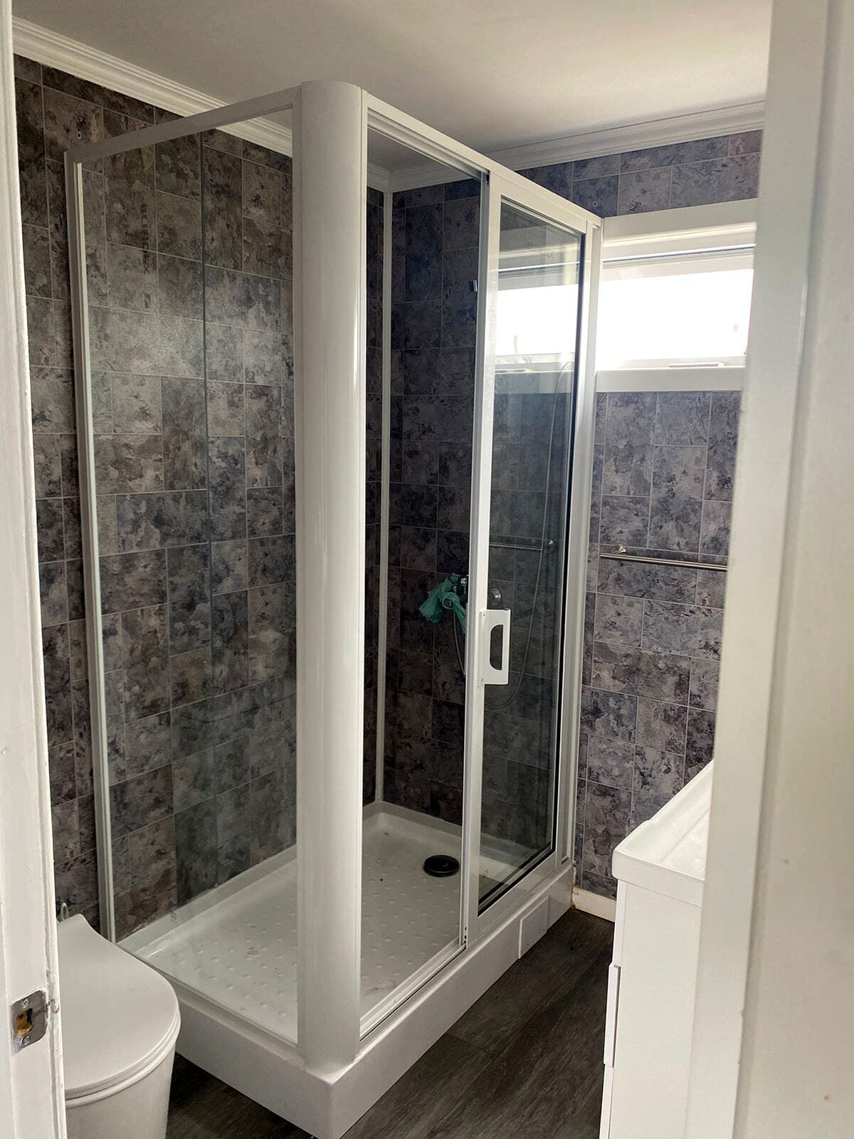 Shower Door — proyecto LECAR